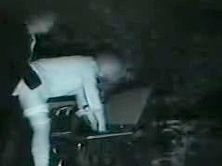 Fucking in the Lush Greenery of Japan's XXX Porn Capital, Tokyo!